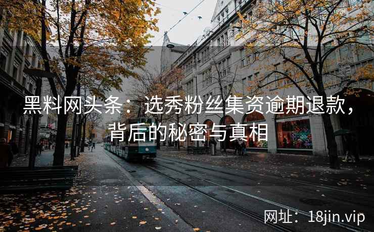 黑料网头条：选秀粉丝集资逾期退款，背后的秘密与真相