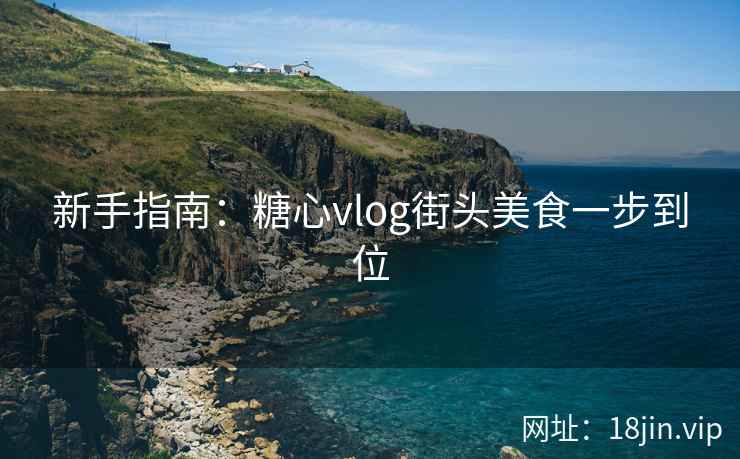 新手指南：糖心vlog街头美食一步到位
