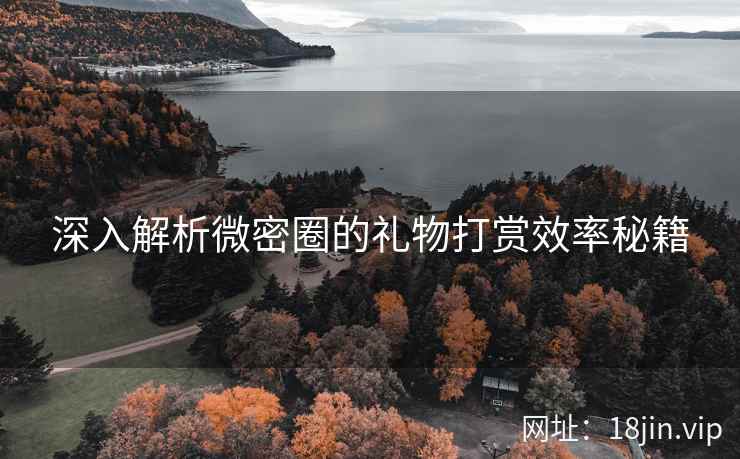 深入解析微密圈的礼物打赏效率秘籍  第1张