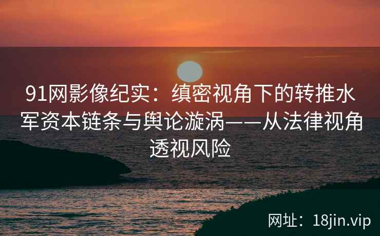 91网影像纪实：缜密视角下的转推水军资本链条与舆论漩涡——从法律视角透视风险