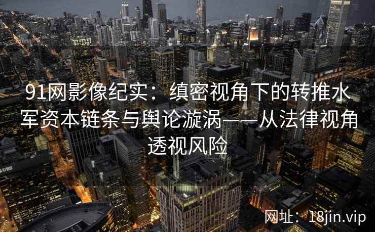 91网影像纪实：缜密视角下的转推水军资本链条与舆论漩涡——从法律视角透视风险