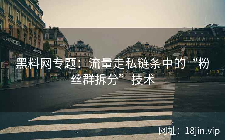 黑料网专题：流量走私链条中的“粉丝群拆分”技术