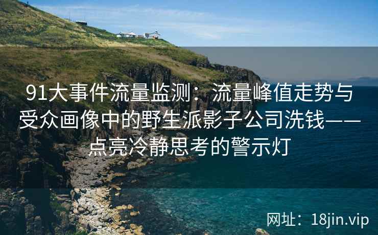 91大事件流量监测：流量峰值走势与受众画像中的野生派影子公司洗钱——点亮冷静思考的警示灯