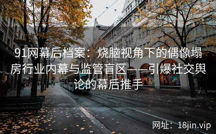 91网幕后档案：烧脑视角下的偶像塌房行业内幕与监管盲区——引爆社交舆论的幕后推手  第2张