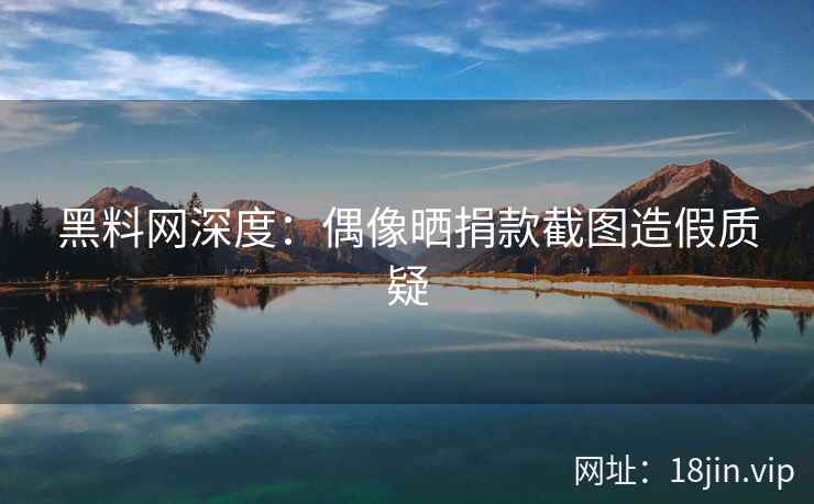 黑料网深度：偶像晒捐款截图造假质疑