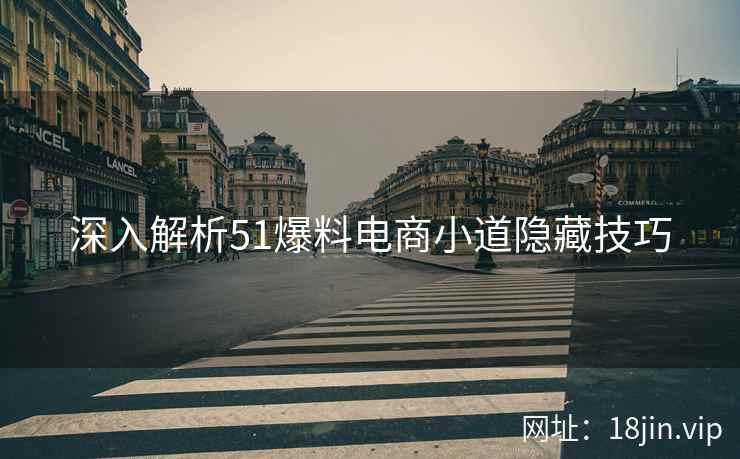 深入解析51爆料电商小道隐藏技巧  第2张
