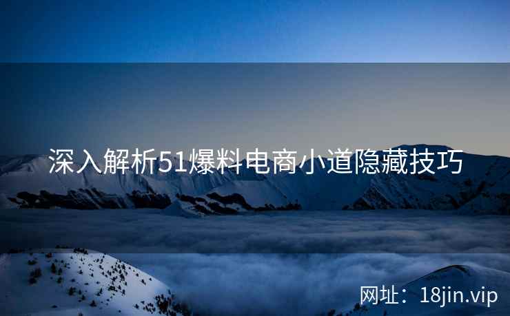 深入解析51爆料电商小道隐藏技巧