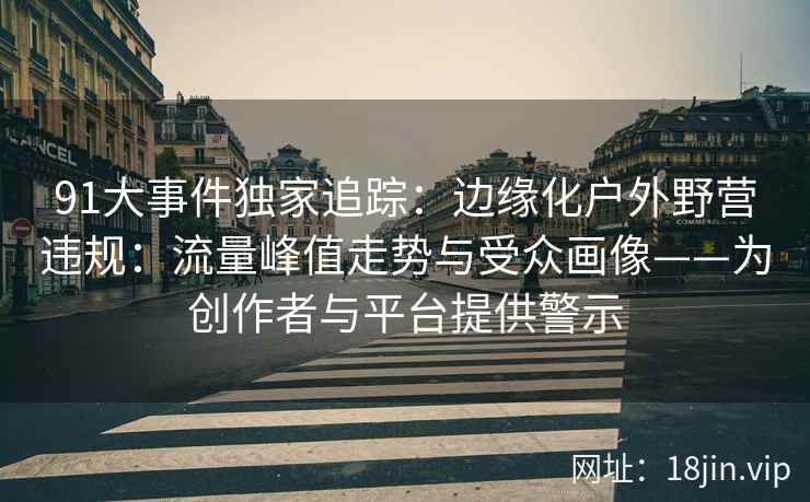 91大事件独家追踪：边缘化户外野营违规：流量峰值走势与受众画像——为创作者与平台提供警示  第2张